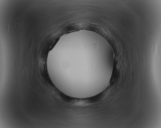 X0000086110235200704132216