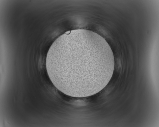 X0000086110236200704132216