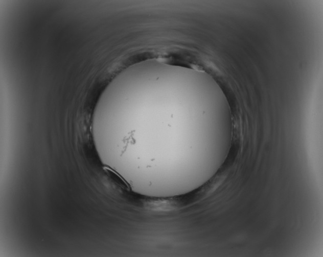 X0000086110237200704132216