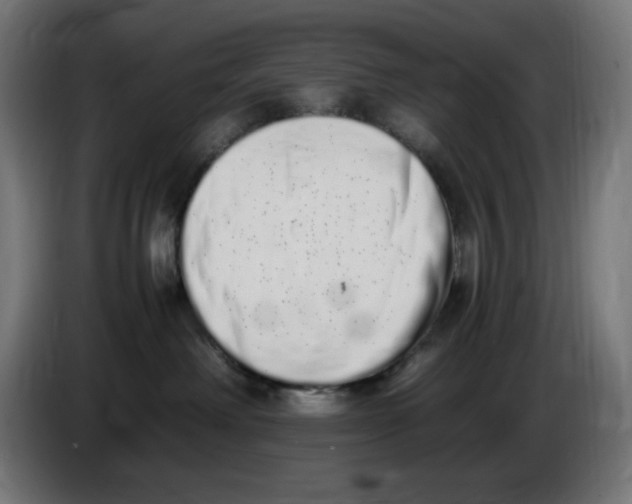 X0000086110238200704132216