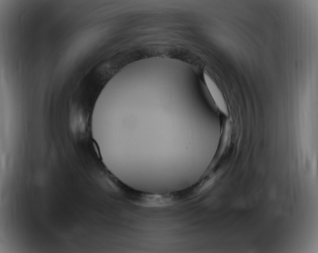 X0000086110239200704132216