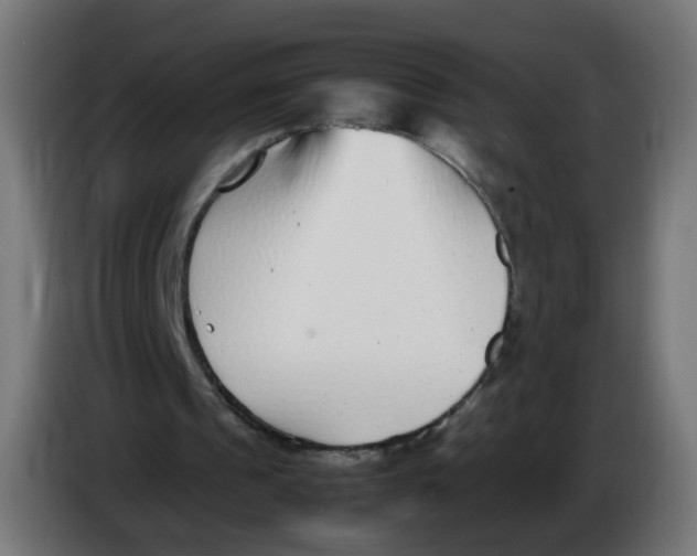 X0000086110241200704132215