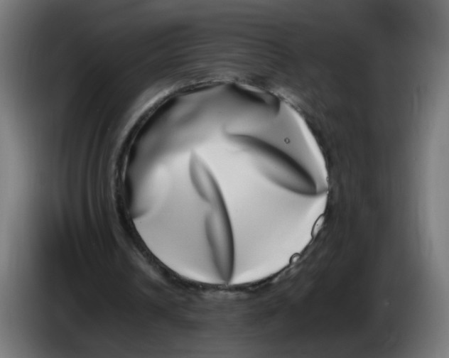 X0000086110242200704132215