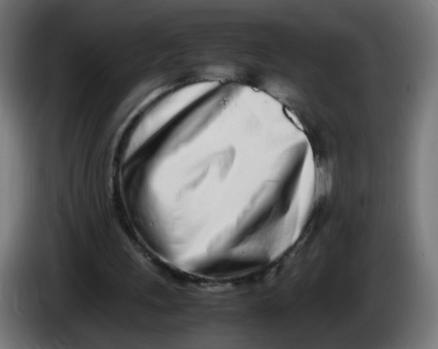 X0000086110243200704132215