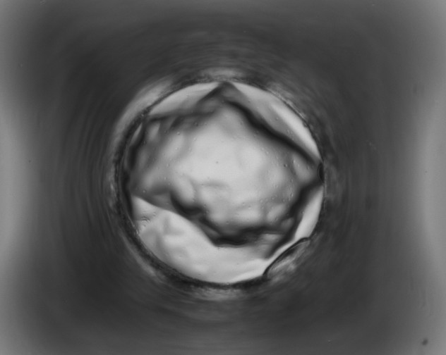 X0000086110245200704132215