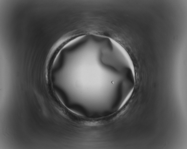 X0000086110246200704132215