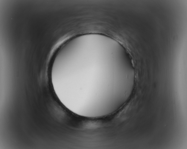 X0000086110248200704132215