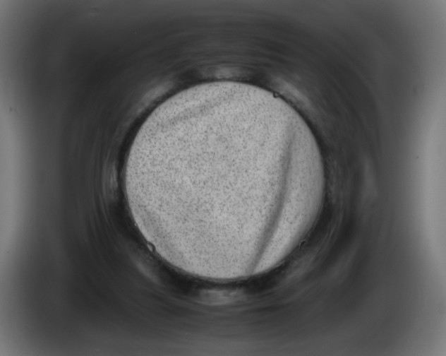 X0000086110251200704132215