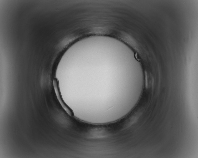 X0000086110252200704132215