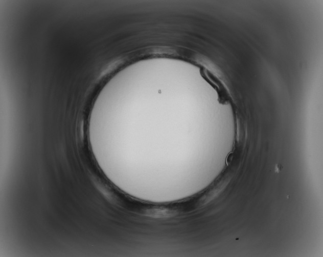 X0000086110253200704132215