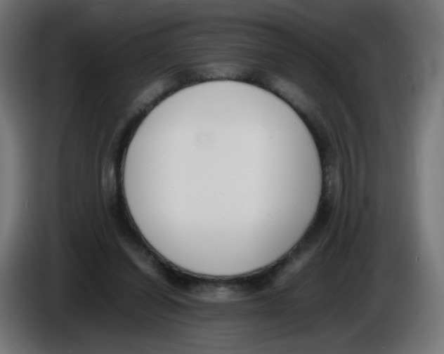 X0000086110254200704132215