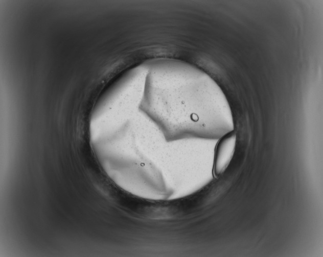 X0000086110255200704132215