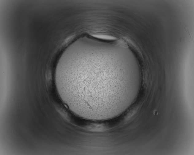 X0000086110260200704132215