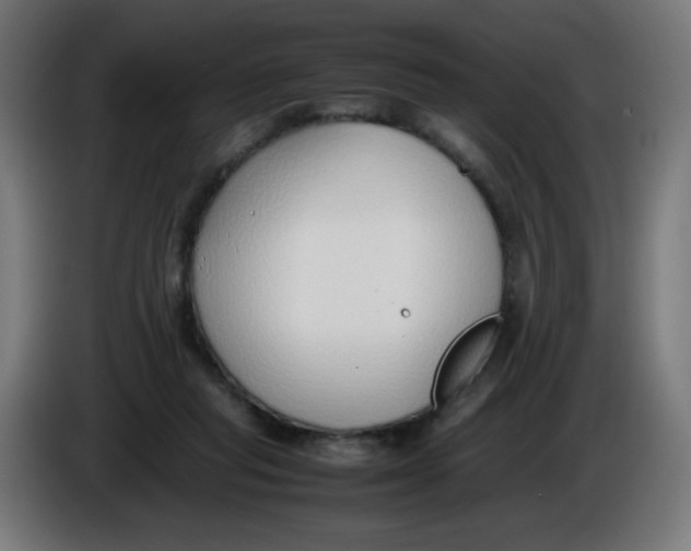 X0000086110261200704132215