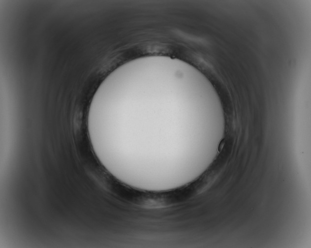 X0000086110263200704132215