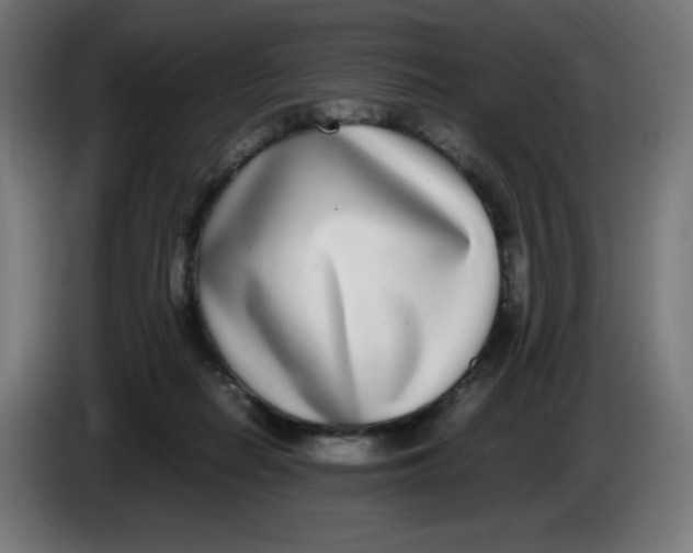 X0000086110266200704132215