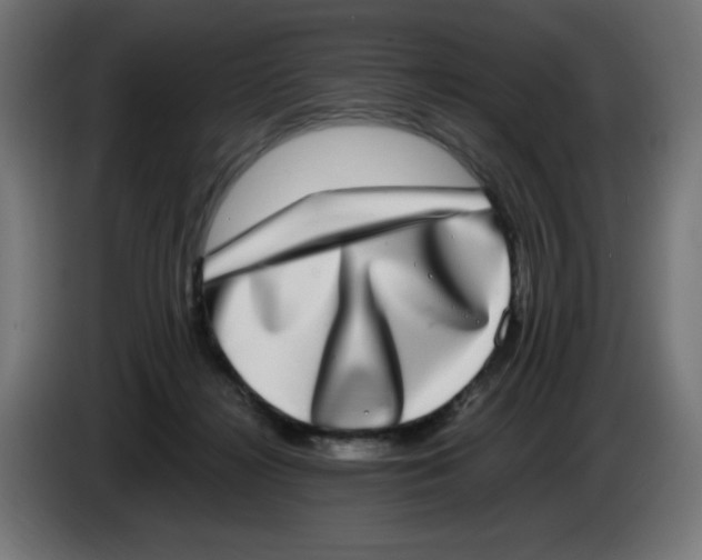 X0000086110268200704132215