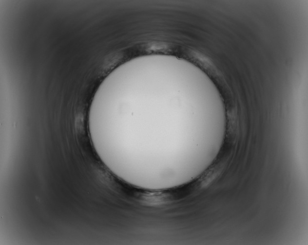 X0000086110269200704132215