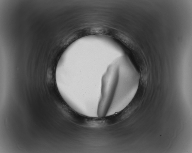 X0000086110270200704132215