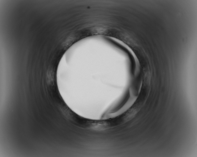 X0000086110274200704132215