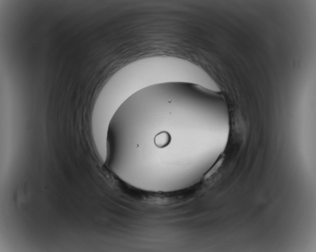 X0000086110276200704132215