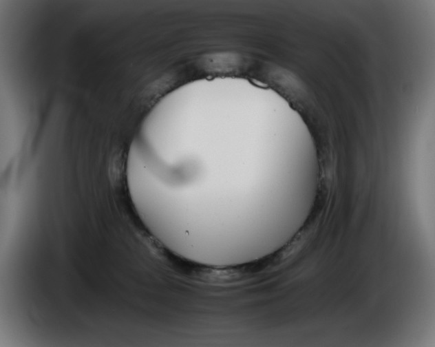 X0000086110277200704132216