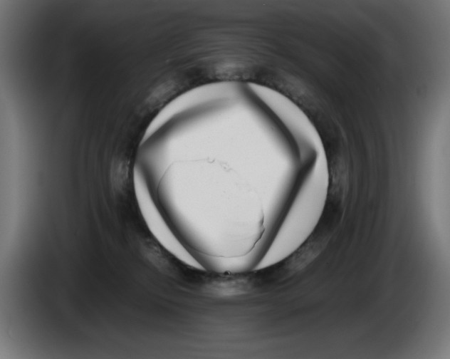 X0000086110278200704132216