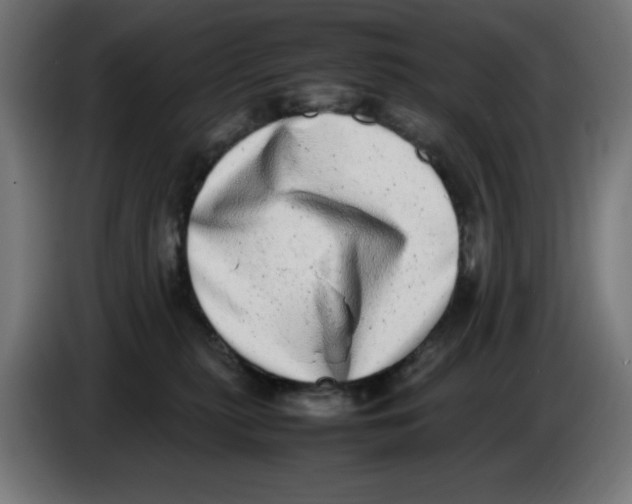 X0000086110279200704132216