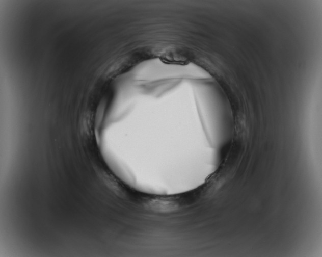 X0000086110280200704132216