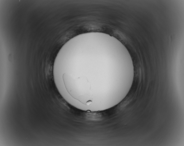 X0000086110281200704132216