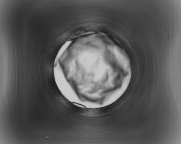 X0000086110288200704132216