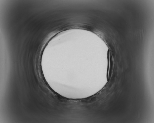 X0000086110289200704132215