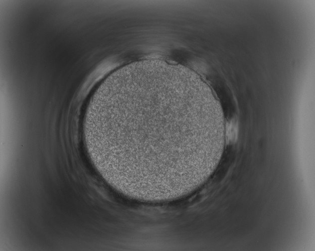 X0000086110291200704132215