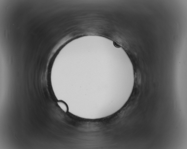 X0000086110292200704132215