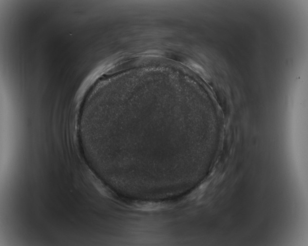 X0000086110293200704132215