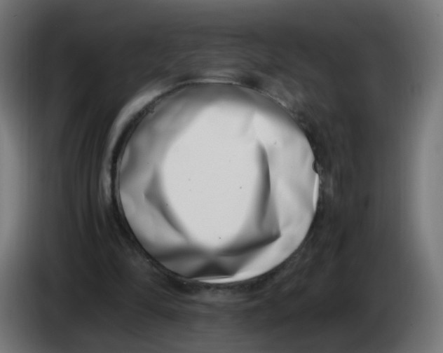 X0000086110294200704132215