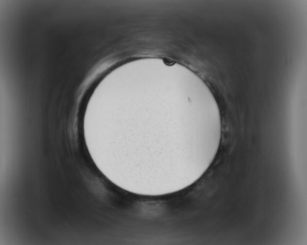 X0000086110296200704132215