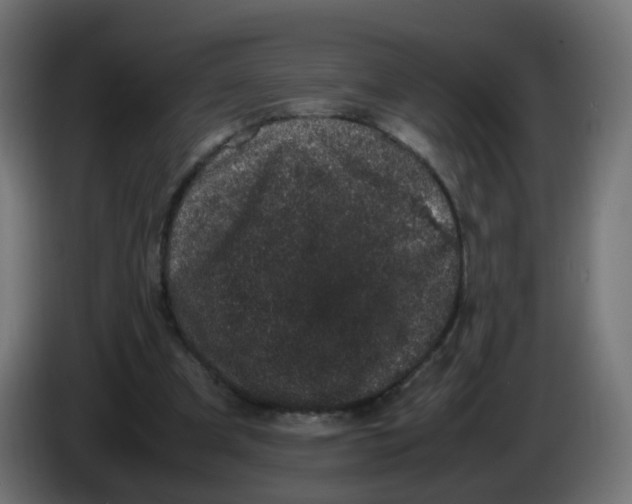 X0000086110297200704132215