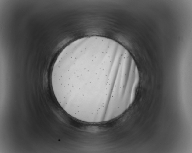 X0000086110298200704132215