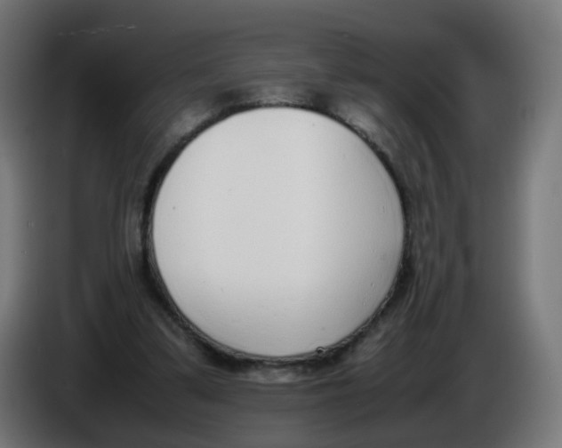 X0000086110299200704132215