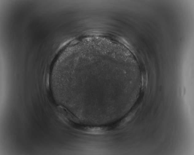 X0000086110301200704132215