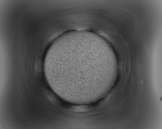 X0000086110303200704132215