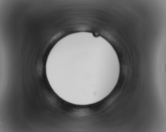 X0000086110304200704132215