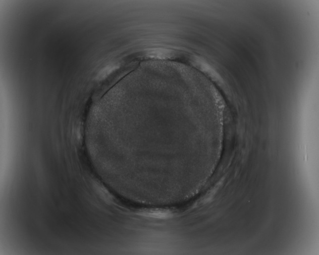 X0000086110305200704132215