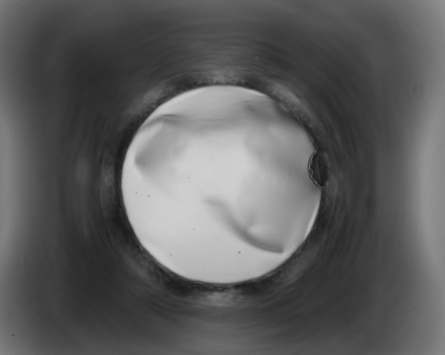 X0000086110306200704132215