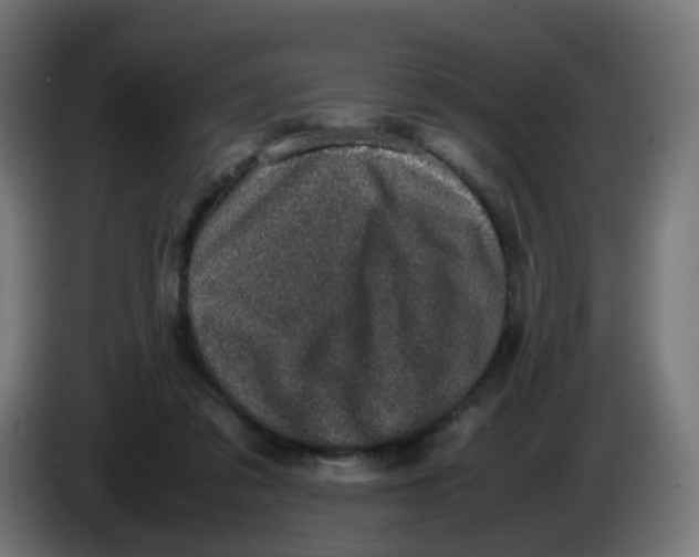 X0000086110309200704132215