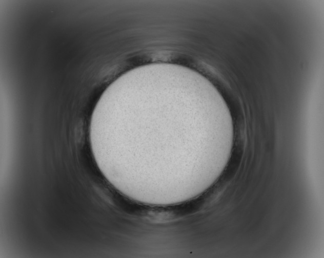 X0000086110311200704132215