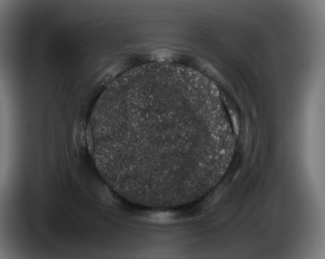 X0000086110313200704132215