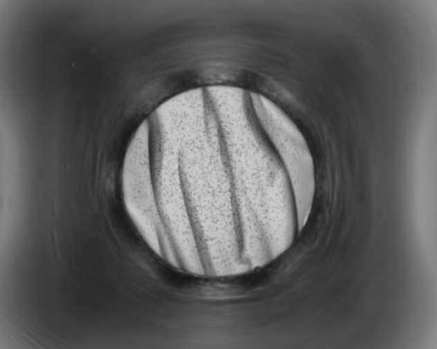 X0000086110315200704132215