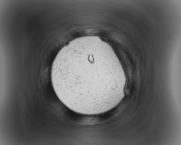 X0000086110319200704132215